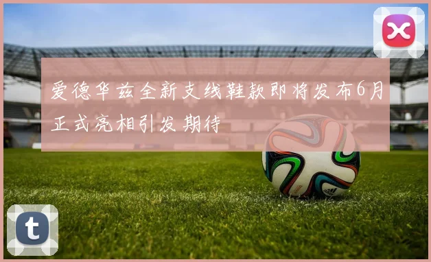 爱德华兹全新支线鞋款即将发布6月正式亮相引发期待