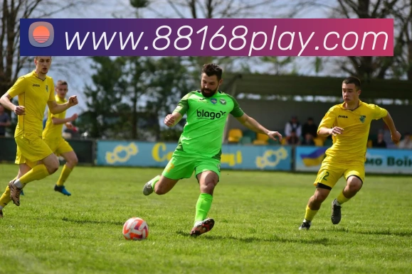 88棋牌APP 封面图